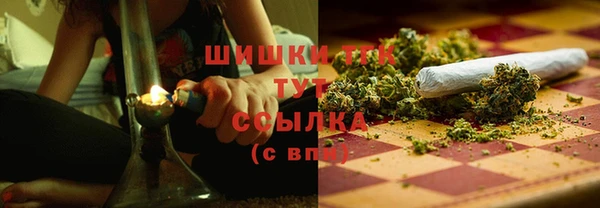 эйфоретик Белокуриха