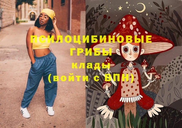 эйфоретик Белокуриха