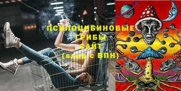 эйфоретик Белокуриха