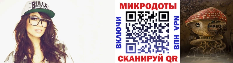 Галлюциногенные грибы Psilocybe  Красный Холм 